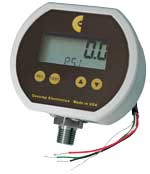 NEMA 4X digital pressure transmitter: F16DRN